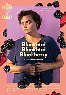 Blackbird Blackbird Blackberry poster