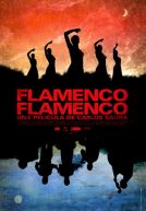 Flamenco, Flamenco