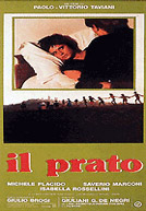Il Prato - The Meadow