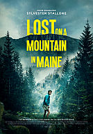 Lost on a Mountain in Maine poster