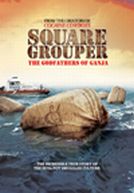 Square Grouper