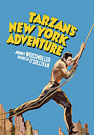 Tarzan's New York Adventure poster