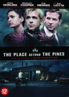 The Place Beyond The Pines (DVD)
