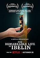 The Remarkable Life of Ibelin poster