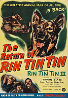 The Return of Rin Tin Tin poster