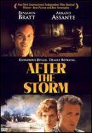 After The Storm (2001)