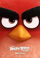 Angry Birds (NV)