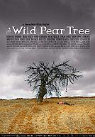 Ahlat Agaci (US : The Wild Pear Tree)