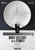 Brief History of a Family poster