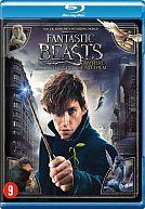 Fantastic Beasts and Where to Find Them (Blu Ray)