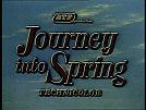 Journey Into Spring