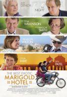 The Best Exotic Marigold Hotel