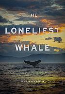 The Loneliest Whale : The Search for 52