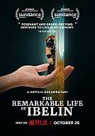 The Remarkable Life of Ibelin poster