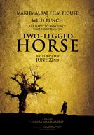 Two Legged Horse