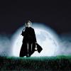 The Vampire's Assistant