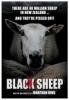 Black Sheep